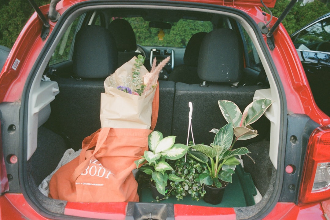 Taşınma için bitkilerin güvenli paketlenmesi gösteriliyor