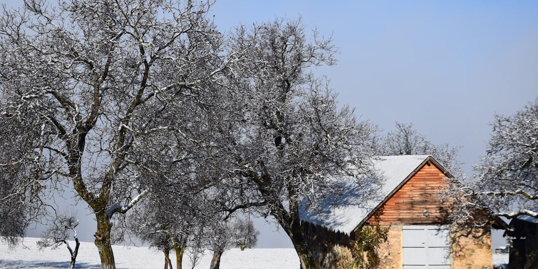 Mevsimsel Taşınma Planı: Yaz ve Kış Hazırlıkları ile Pratik Adımlar