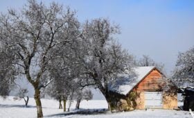 Mevsimsel Taşınma Planı: Yaz ve Kış Hazırlıkları ile Pratik Adımlar