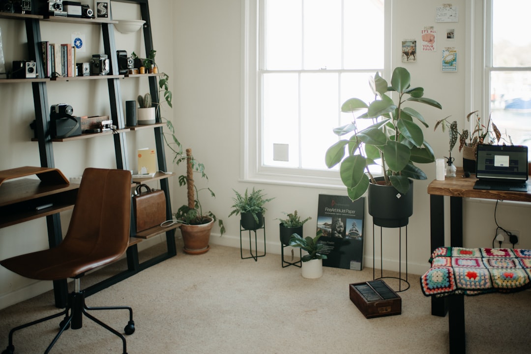 Ofis bitkilerinin taşınma öncesi paketlenmesi ve düzenlenmesi