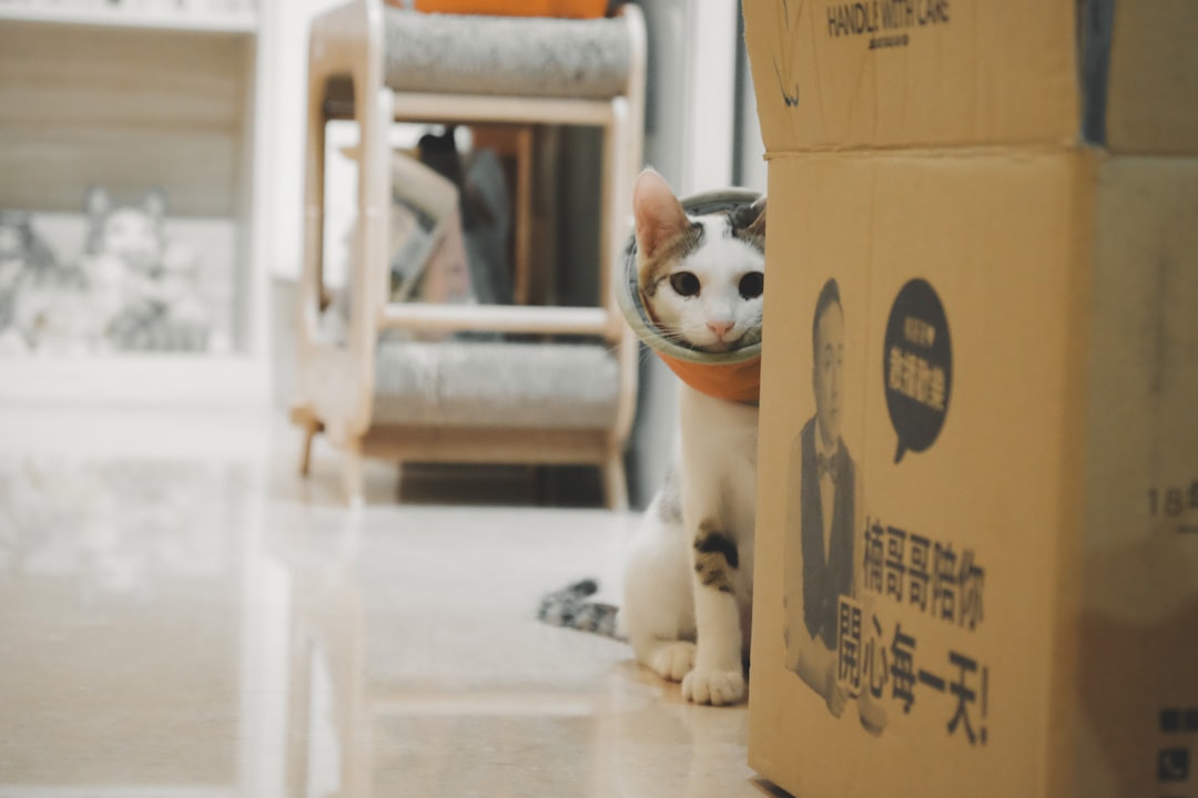 Taşıma sırasında güvenli kafes ve ekipmanlar