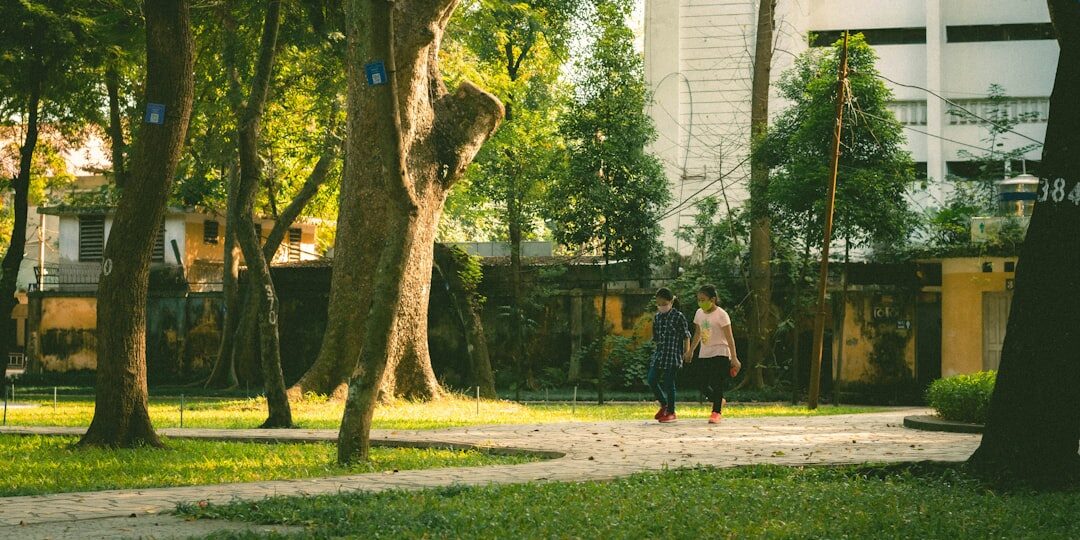 Taşınmada Komşuluk İşbirliği: Park Planı Adımları