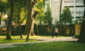 Taşınmada Komşuluk İşbirliği: Park Planı Adımları