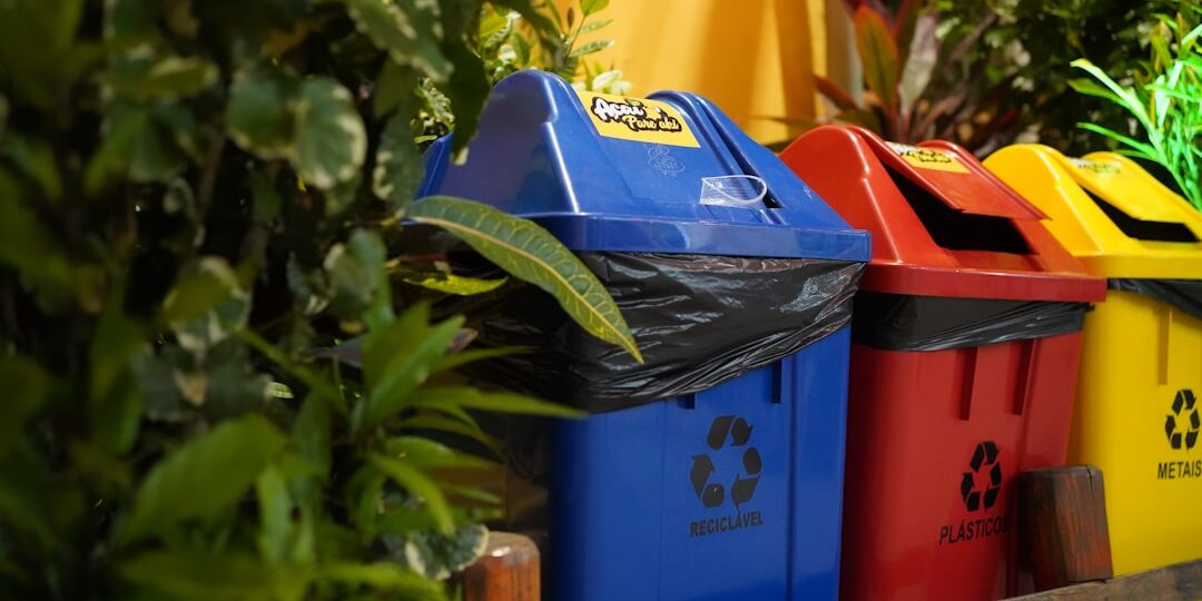 Evden Eve Nakliyat Ambalajında Çevreci Seçimler ve Uygulamalar