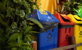 Evden Eve Nakliyat Ambalajında Çevreci Seçimler ve Uygulamalar