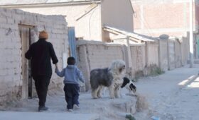 Evden Eve Nakliyat için Evcil Hayvan ve Çocuk Güvenliği Planı