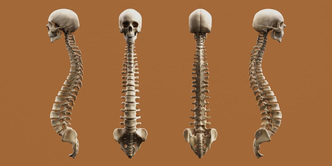Taşınmada Ergonomi: 7 Kaldırma Tekniği ve Ekipman Önerileri