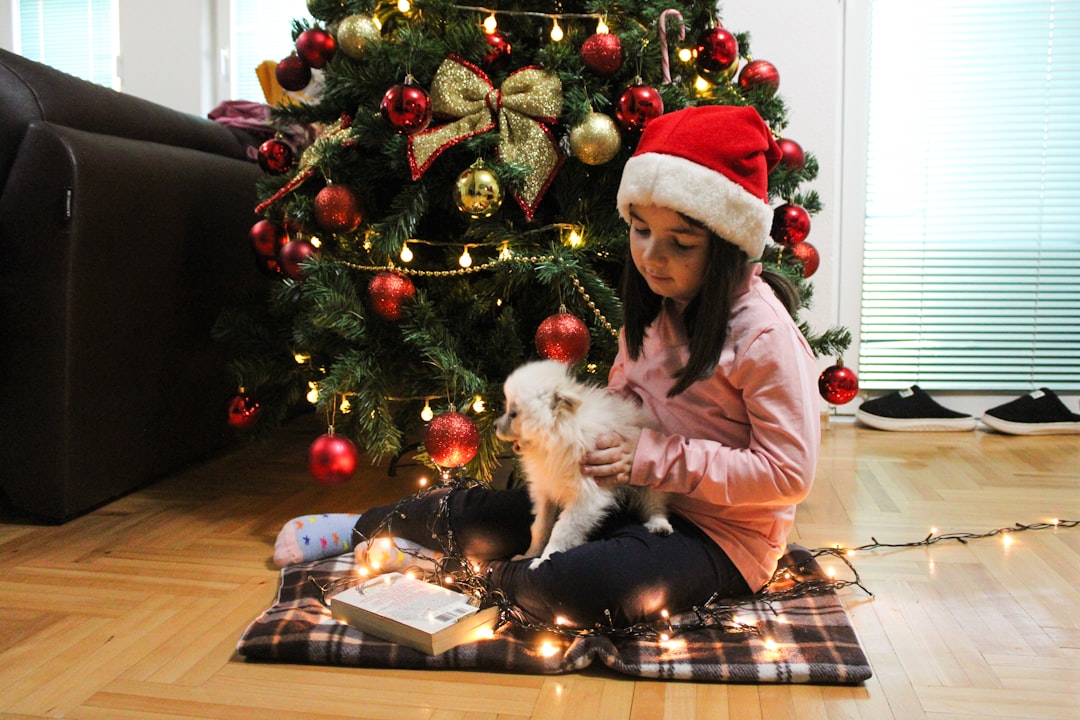 Yeni evde evcil hayvan güvenli ortam kurulumu