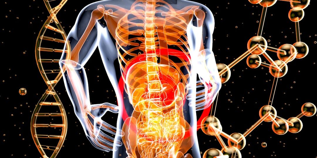 Ergonomik Taşıma Teknikleriyle Taşınma Rehberi: Ev ve Ofis İçin Adım Adım