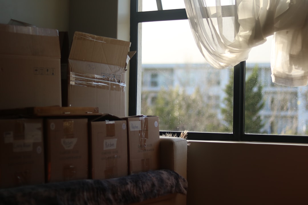Ev eşyaları taşıma kutularına paketlenmiş ve araç için hazırlık yapılıyor