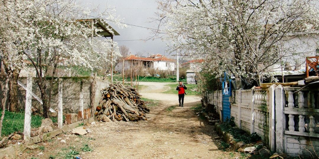 Taşınmada Bitkiler: Güvenli Paketleme ve Taşıma Rehberi